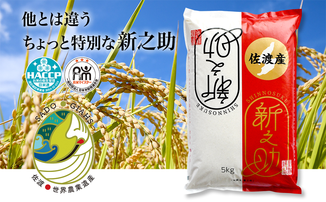 譁ー貎溽恁菴先ク。蟶ら肇 譁ー荵句勧 邊セ邀ウ 5kg縲蝉サ、蜥7蟷エ邀ウ縲