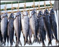 äœæž¡ç£ãµã£ããéé®ïŒ8åïŒ