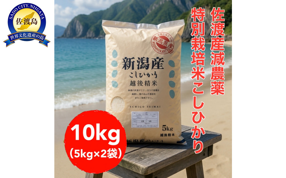 【トキと一緒に育った特別なコシヒカリ】佐渡産 減農薬特別栽培米コシヒカリ 10kg（5kg×2袋）