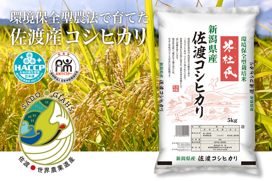 米 コシヒカリ 佐渡産 ( 5kg ) 米杜氏【令和7年米】
