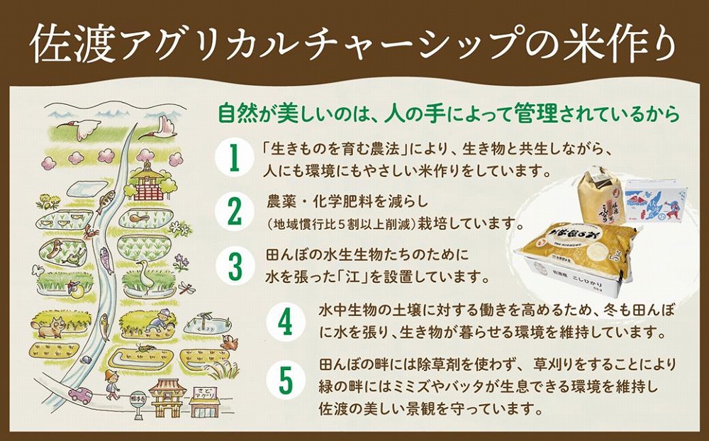 【令和５年産】佐渡島産 特別栽培米こしひかり「大野郷の米」精米5kg×６回 定期お届けコース