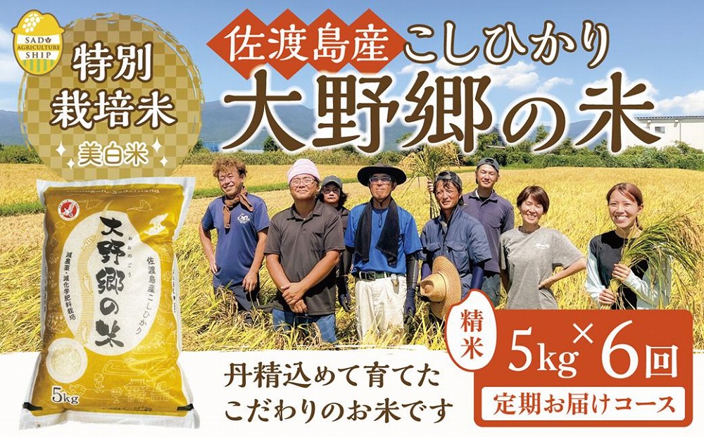 【令和５年産新米】佐渡島産 特別栽培米こしひかり「大野郷の米」精米5kg×６回 定期お届けコース