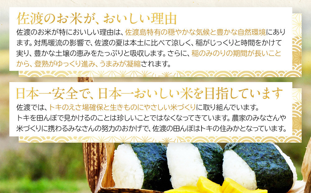 縲蝉サ、蜥8蟷エ逕」譁ー邀ウ縲螳壽悄萓ソ繝サ蜈郁。御コ育エ縲台ス先ク。逕」繧ウ繧キ繝偵き繝ェ 縺昴ョ縺セ繧薙∪逵溽ゥコ繝代ャ繧ッ 900gテ6陲(邊セ邀ウ)縲蜈ィ6蝗