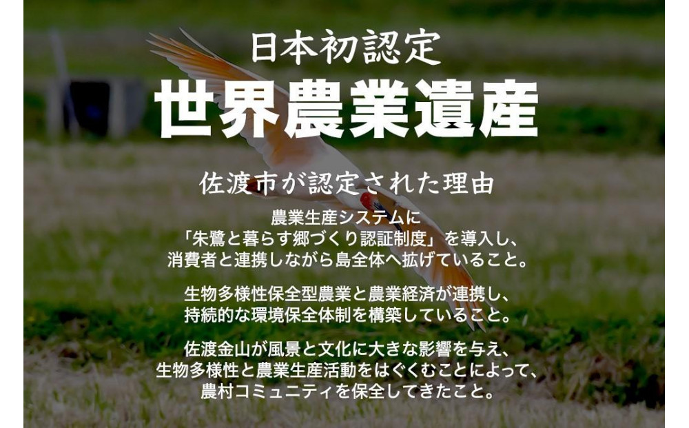 譁ー貎溽恁菴先ク。蟶ら肇 譁ー荵句勧 邊セ邀ウ 5kg縲蝉サ、蜥7蟷エ邀ウ縲
