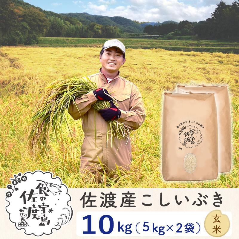 佐渡島産 こしいぶき 玄米10kg(5kg×2袋）【令和5年産】〜農薬5割減〜