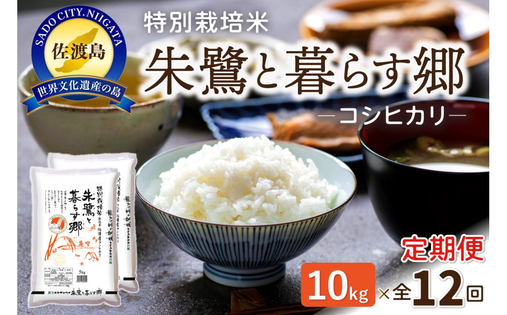 縲12繝カ譛磯」邯壹♀螻翫¢縲台ス先ク。逕」繧ウ繧キ繝偵き繝ェ 譛ア鮃コ縺ィ證ョ繧峨☆驛キシ10kgシ5kgテ2シ会シ