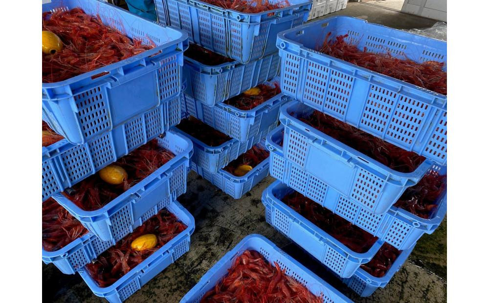 ãå
è¡äºçŽãã什å8幎1æäžæ¬ä»¥éçºéãäœæž¡ç£ åè®ãšãïŒçãšãïŒå·å 500gïŒçŽ40å°ŸïŒ