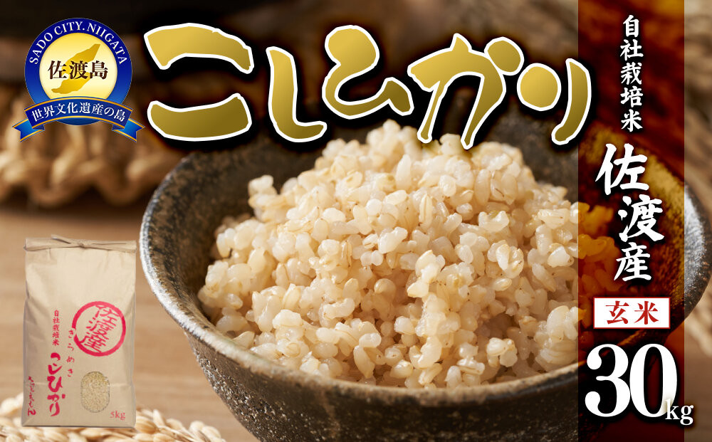 【令和7年米】自社栽培米佐渡産こしひかり（玄米30kg）
