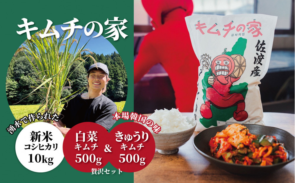 キムチの家　白菜キムチ500g きゅうりキムチ500g食べ比べと佐渡産新米コシヒカリ10kgセット　