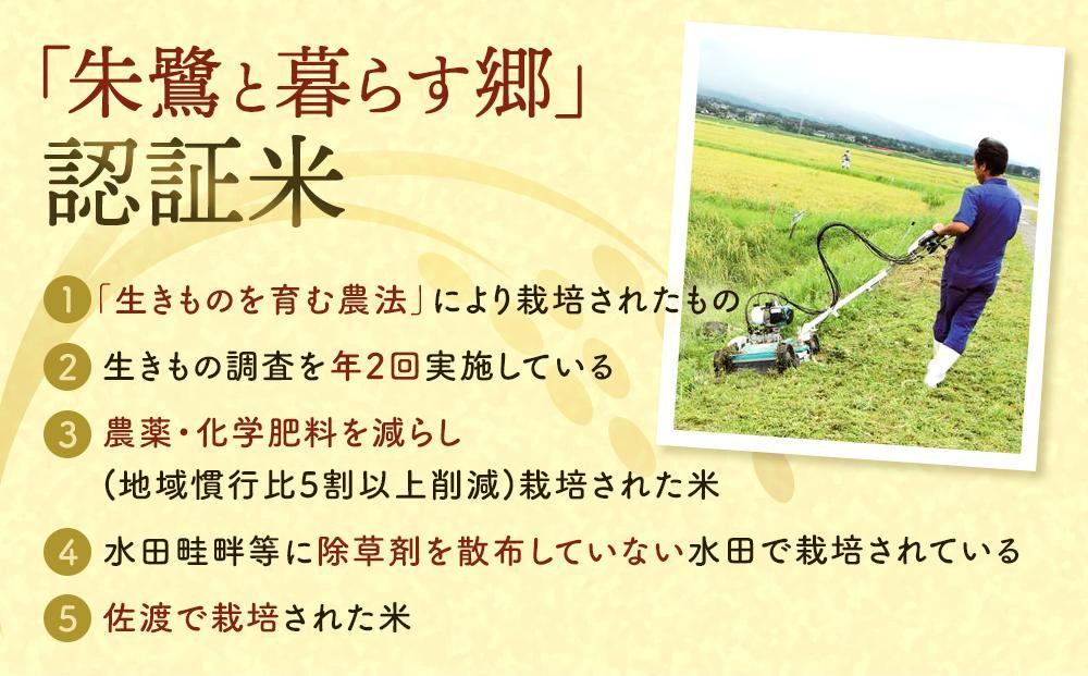 【6ヶ月連続お届け】佐渡産コシヒカリ 朱鷺と暮らす郷（5kg）