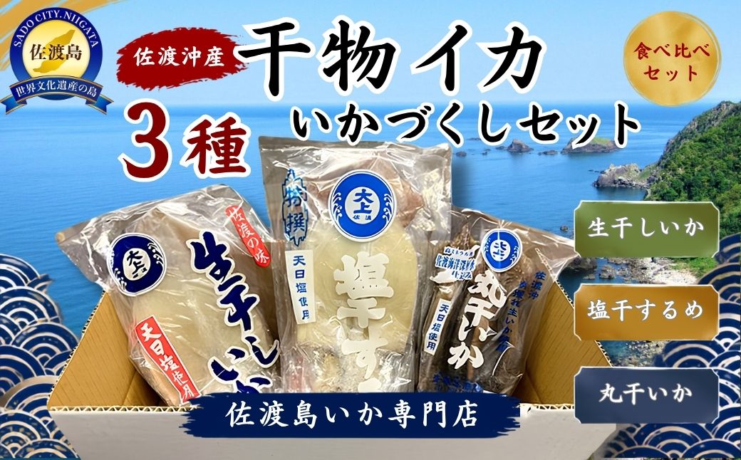 干物 イカ 佐渡沖産 3種 いかづくしセット1 佐渡島いか専門店