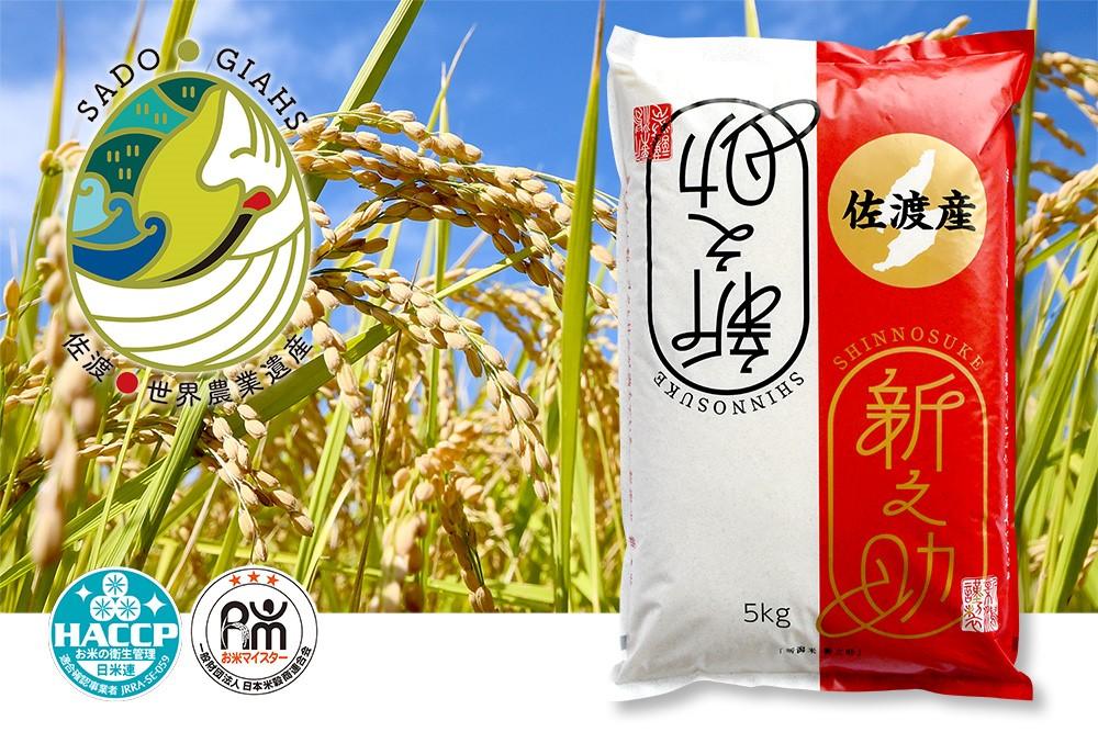 譁ー貎溽恁菴先ク。蟶ら肇 譁ー荵句勧 邊セ邀ウ 5kg縲蝉サ、蜥7蟷エ邀ウ縲