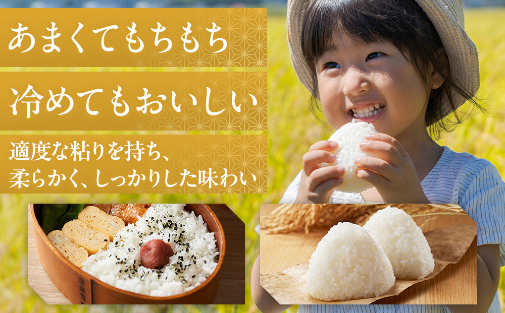 【トキと一緒に育った特別なコシヒカリ】佐渡産 減農薬特別栽培米コシヒカリ 5kg