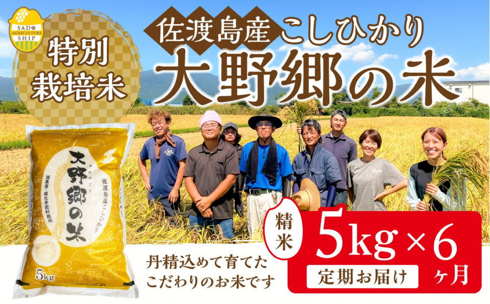 【令和７年産】佐渡島産 特別栽培米こしひかり「大野郷の米」精米5kg×6回 定期お届けコース