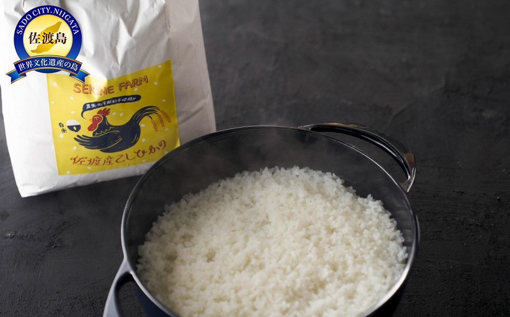 【農薬化学肥料を使わずに育てた】佐渡平清水産コシヒカリ 精米5kg