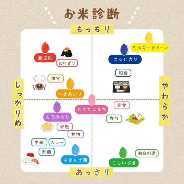 【3か月定期便】佐渡島産 こしいぶき 白米5Kg 令和6年産