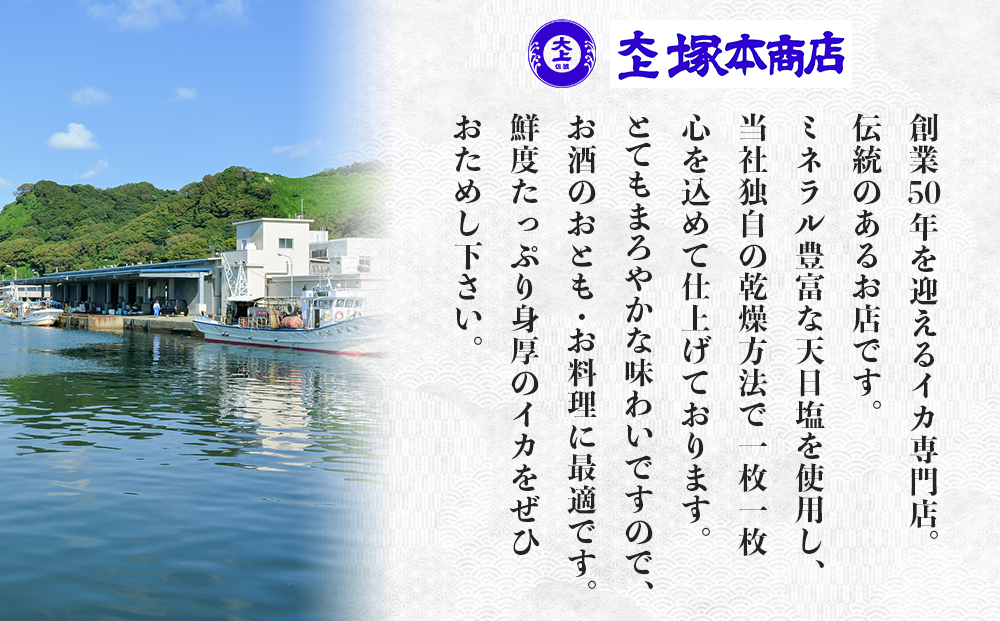 干物 イカ 佐渡沖産 3種 いかづくしセット1 佐渡島いか専門店