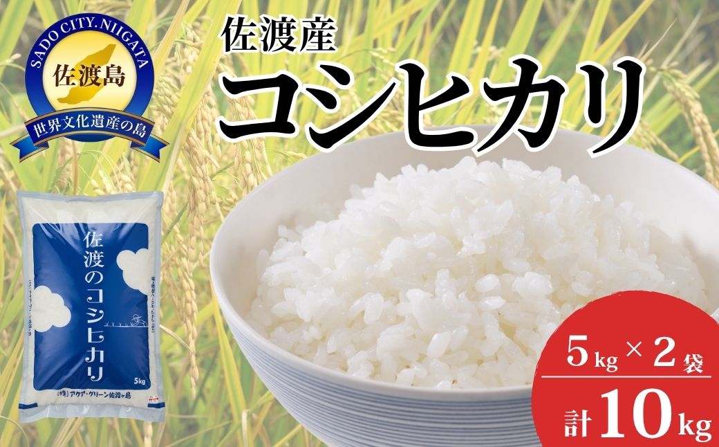 【令和7年産】佐渡産コシヒカリ　5kg×2袋