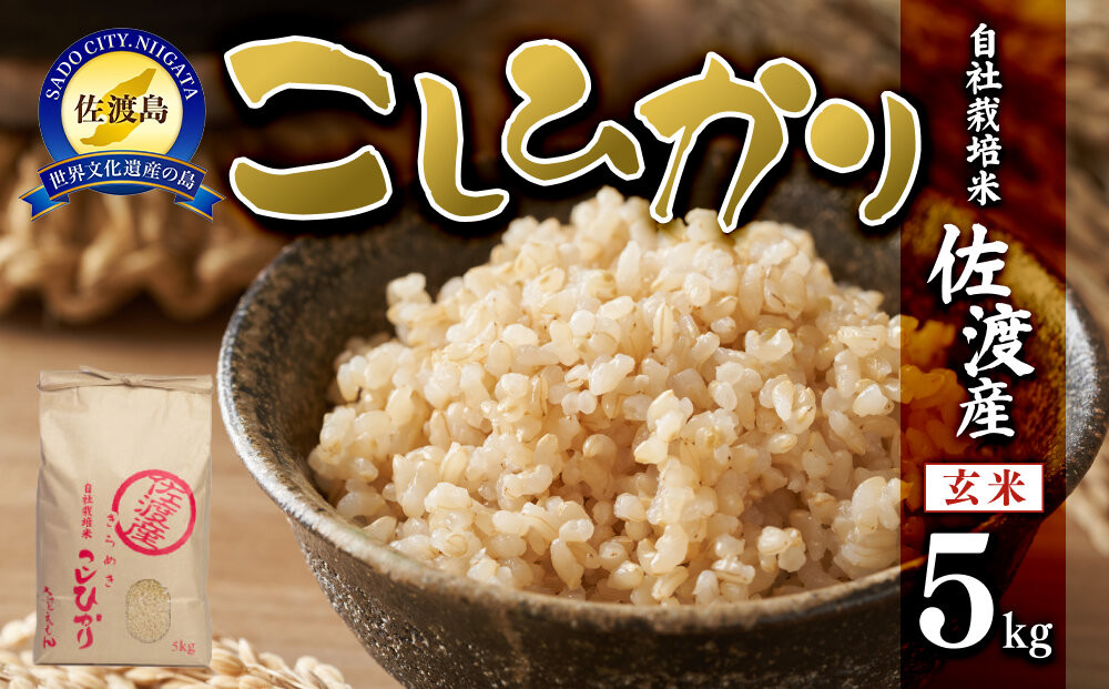 【令和7年米】自社栽培米佐渡産こしひかり（玄米5kg）