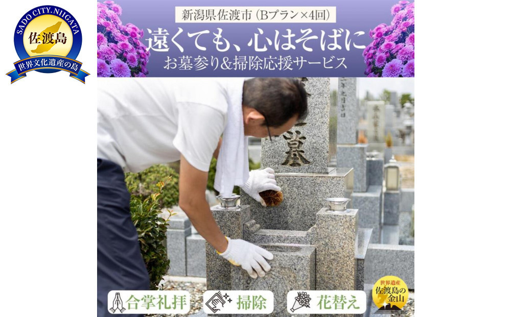 【新潟県佐渡】佐渡島内　お墓参りプランBを年4回　応援サービス　合掌拝礼・花替え・墓石水洗い・簡易除草・タクシー送迎（5,000円まで年1回付き）　「遠くても、心はそばに」