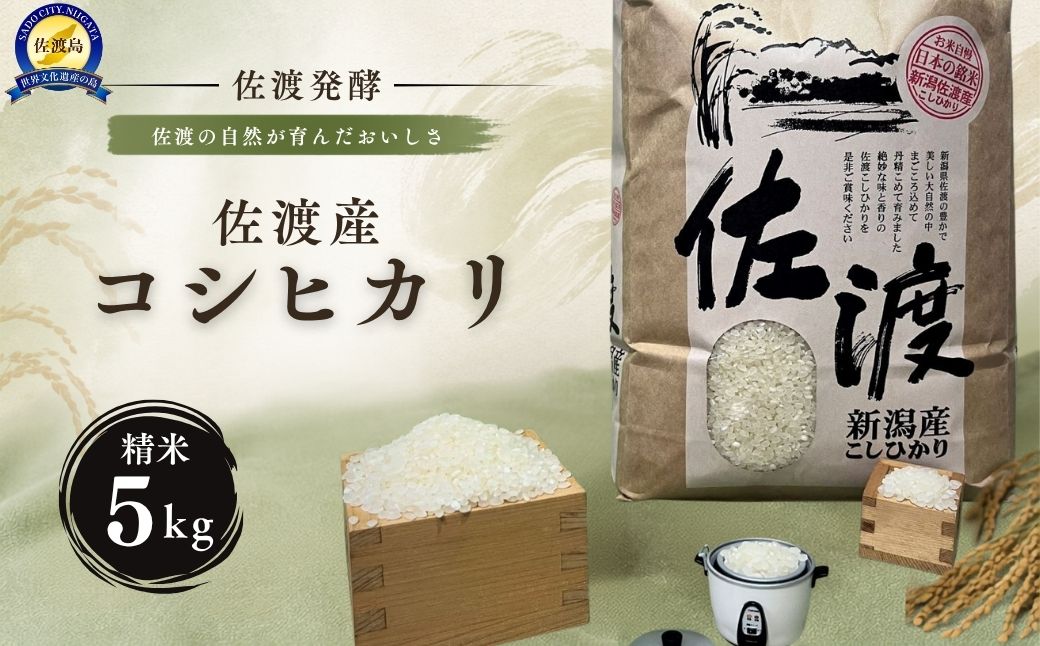 佐渡発酵　佐渡産コシヒカリ精米5kg 【令和7年米】