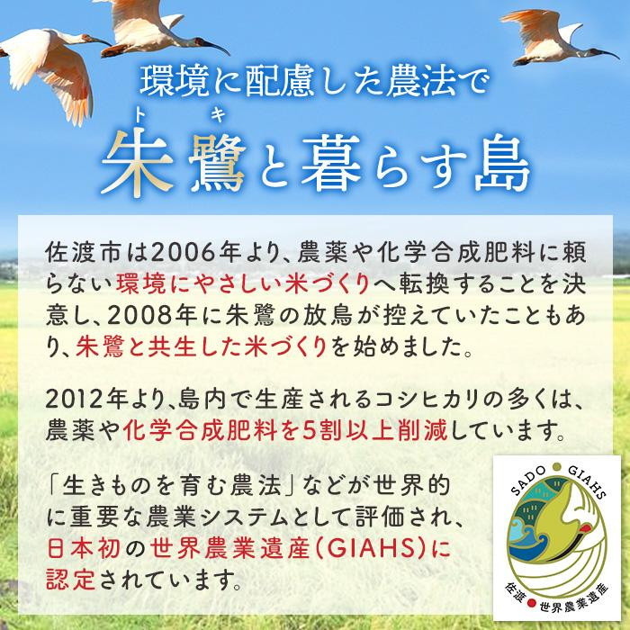 【新潟県佐渡】佐渡産の純粋コシヒカリ15kg＜数量限定＞ 令和７年産 精米【無洗米】5kg×3袋