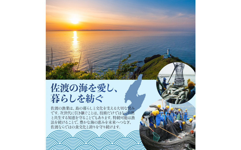 鮭と鰤〈2026年2月発送・佐渡水揚げ限定〉【新潟県佐渡】日本海の宝・佐渡から届く、極上の海の幸　漬魚　佐渡産の「鮭と鰤」と佐渡の伝統的な3種の味付け　焼き上げ加工済み　湯せん・レンチンでお手軽　食卓で本格的な味