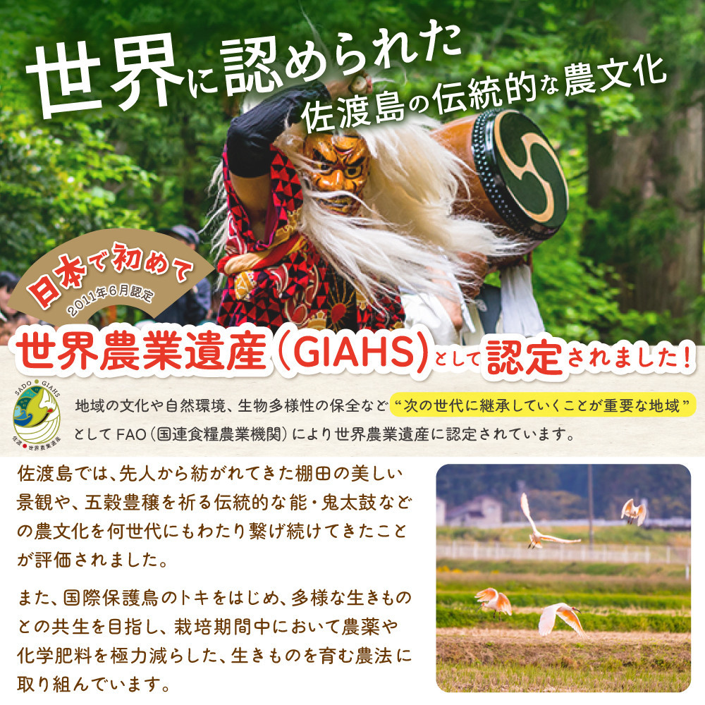 佐渡島産あきたこまち 無洗米10kg (5kg×2袋） 令和7年産 【食の宝島佐渡】