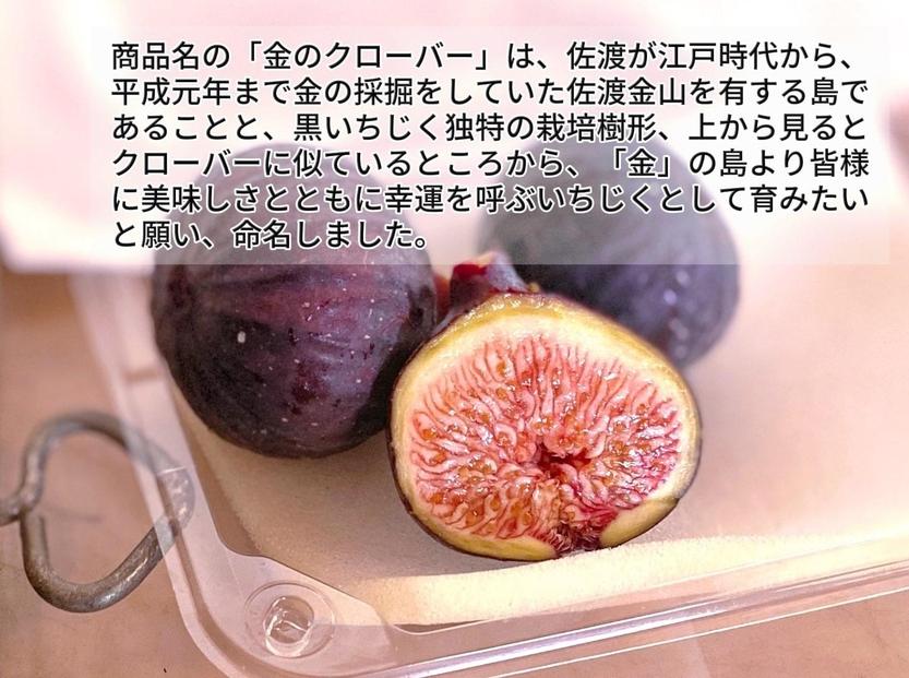 【先行予約・個数限定】佐渡産　特選黒いちじく「金のクローバー」800ｇ（8～9玉入（400g）2パック）