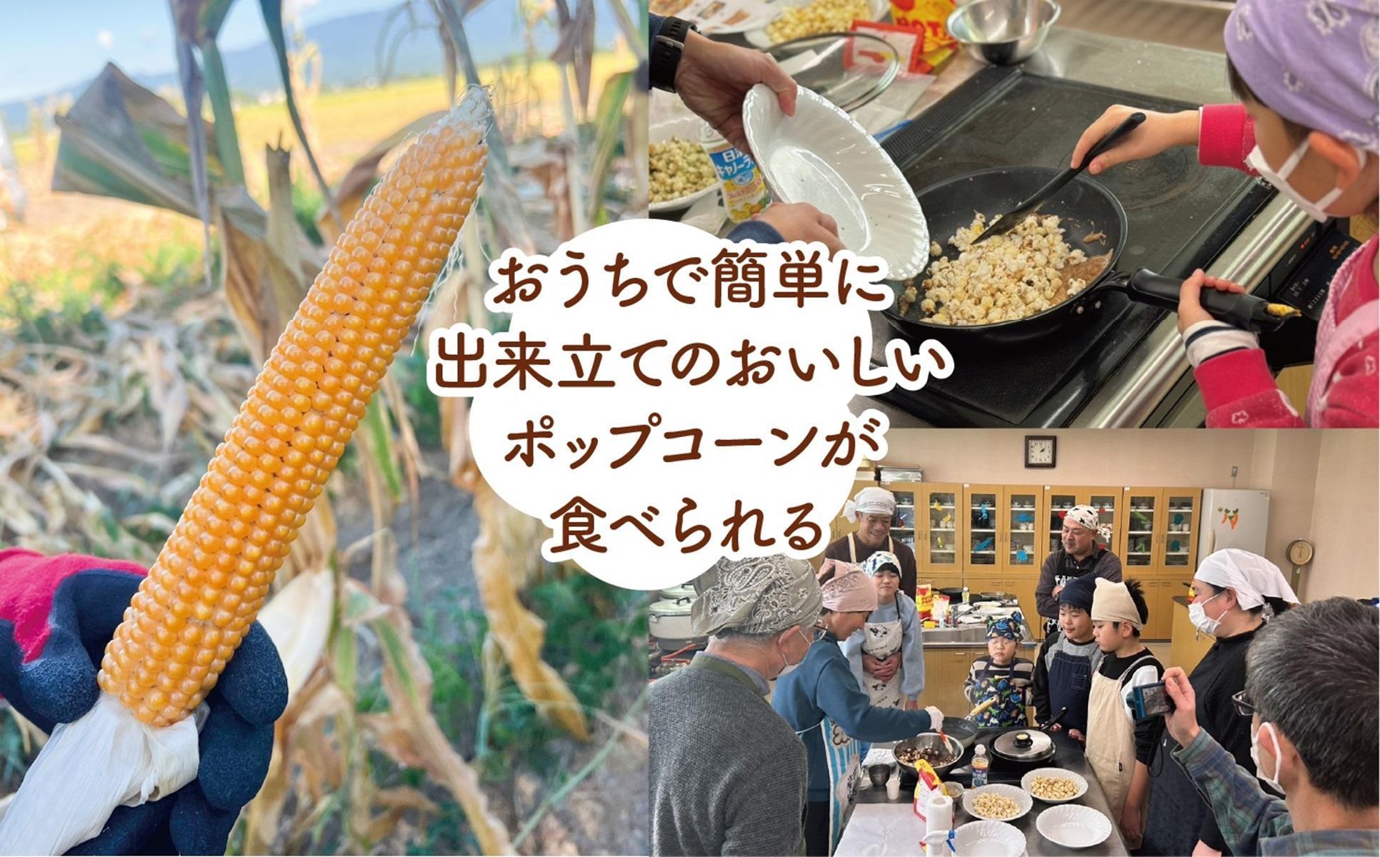 佐渡島産 大野さんのポップコーン用とうもろこし（180g×5袋入）