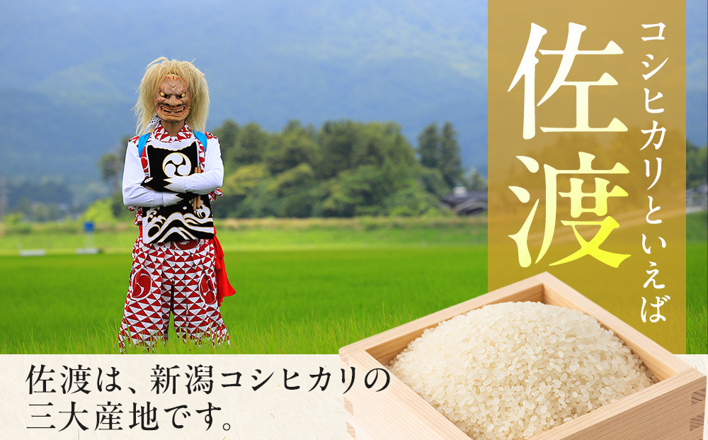 【令和7年産　頒布会】雪温精法　佐渡産こしひかり10kg×3回