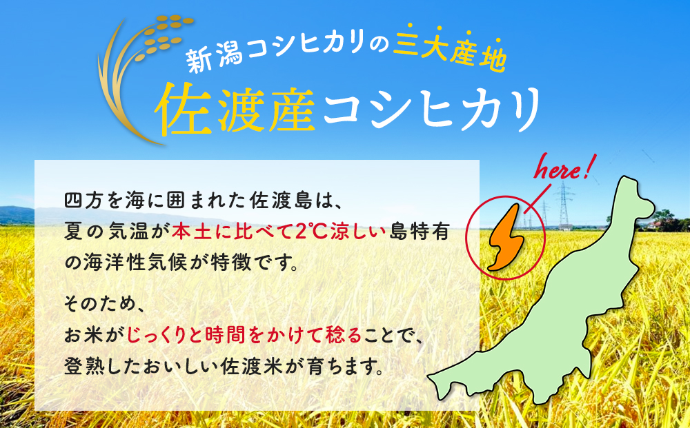 新米・先行予約】佐渡産コシヒカリ 5kg、 コシヒカリ無洗米2合|JAL