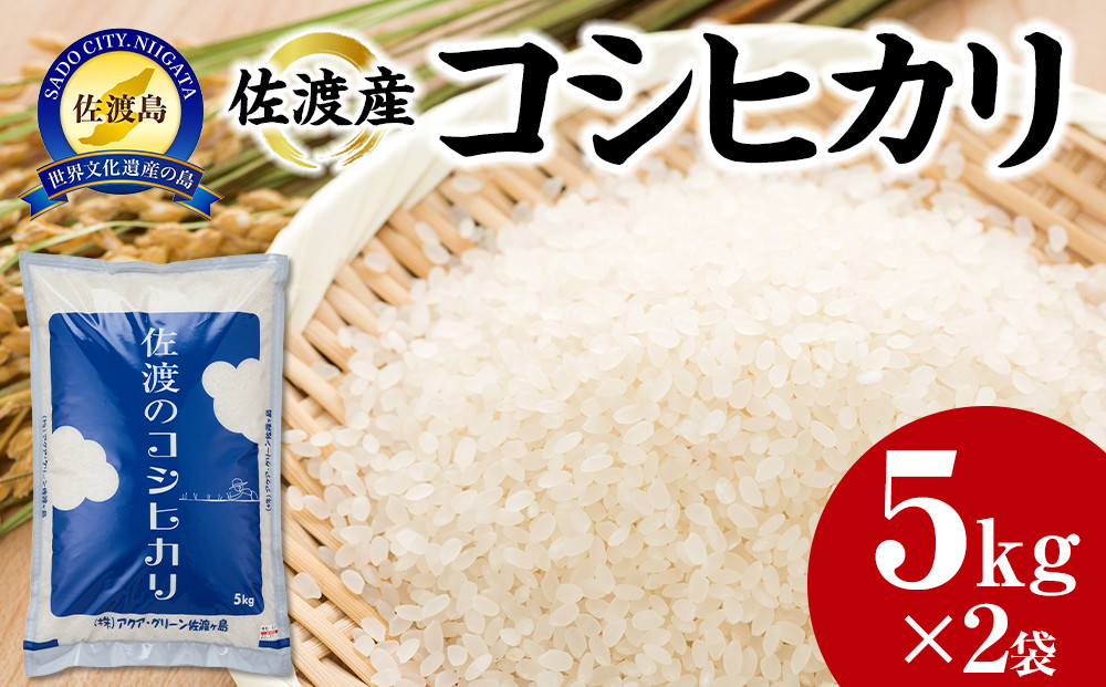 【令和7年産】佐渡産コシヒカリ　5kg×2袋