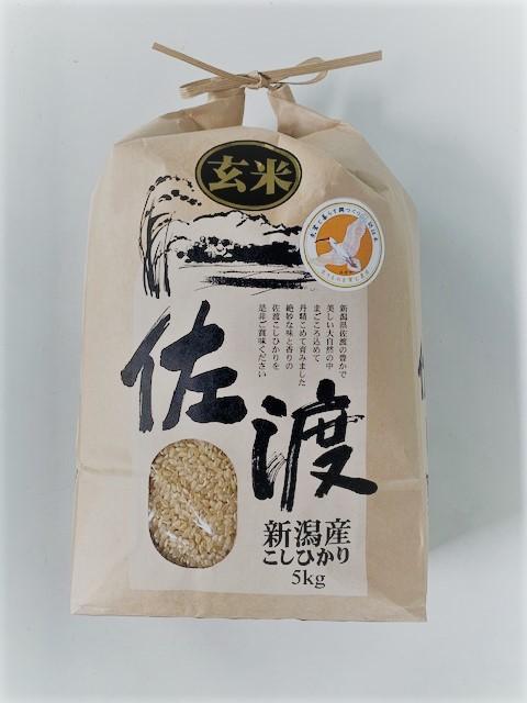 米 玄米 朱鷺と暮らす郷 佐渡産 コシヒカリ ( 5kg ) 【令和6年産】