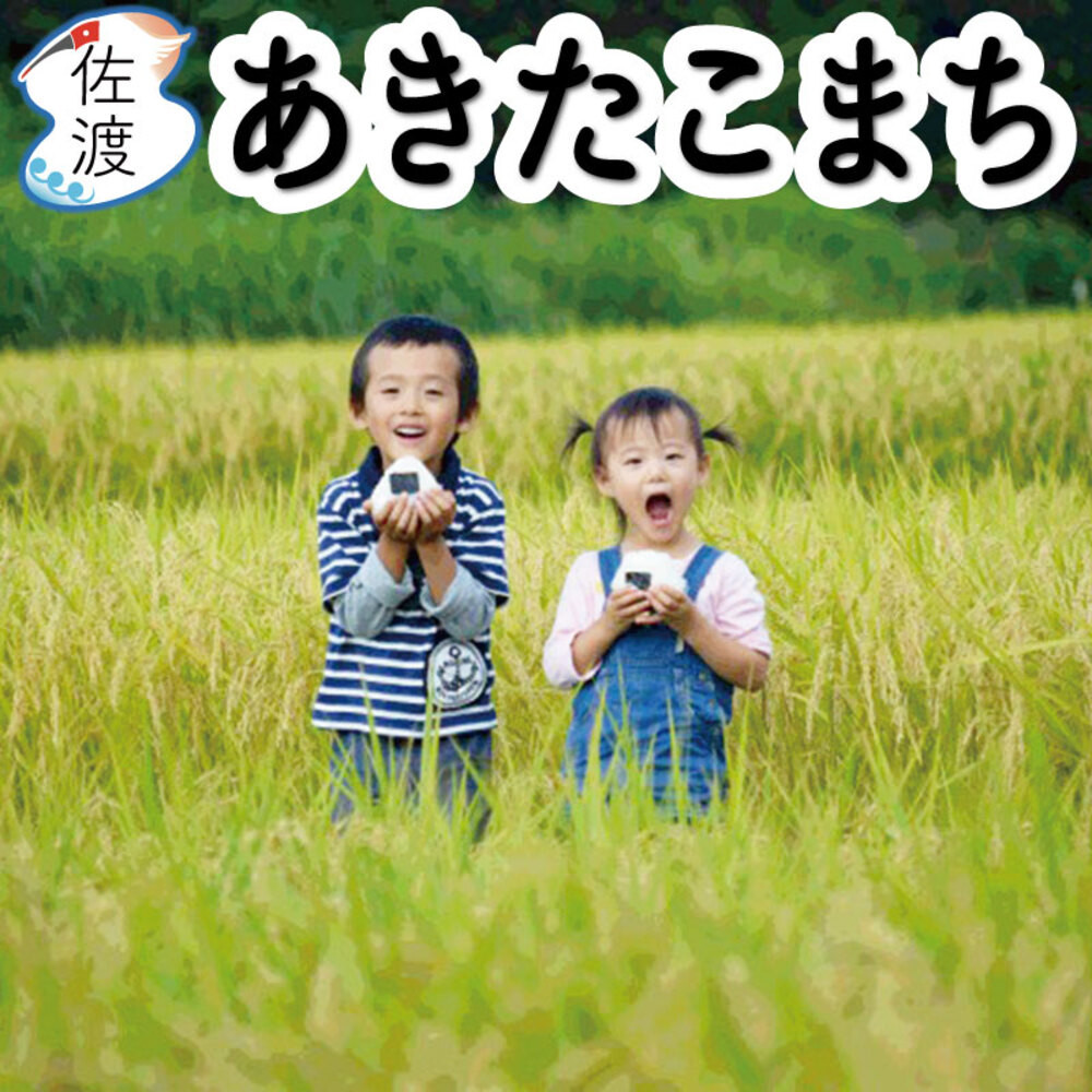 佐渡島産あきたこまち 無洗米10kg (5kg×2袋） 令和7年産 【食の宝島佐渡】