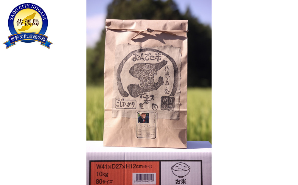 【令和7年産】佐渡産コシヒカリ精米9キロ