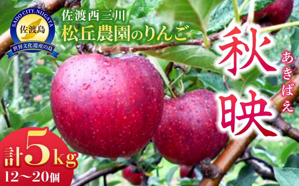 【10月上旬以降発送】佐渡 西三川・松丘農園のりんご「秋映（あきばえ）」12個～20個　計5kg