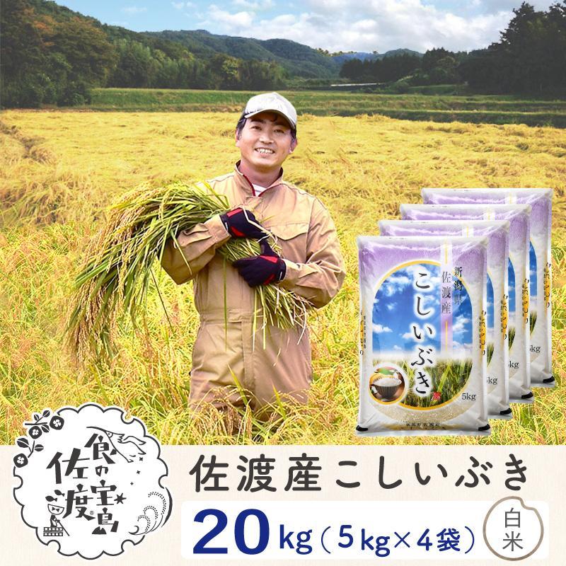 佐渡島産 こしいぶき 白米20kg(5kg×4袋）【令和5年産】〜農薬5割減〜