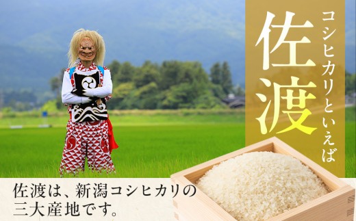 譁ー貎溽恁菴先ク。蟶ら肇 譁ー荵句勧 邊セ邀ウ 5kg縲蝉サ、蜥7蟷エ邀ウ縲