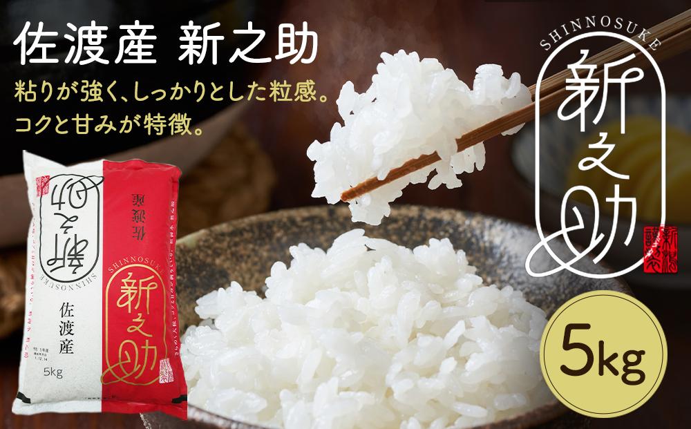 令和6年産　佐渡産新ブランド米「新之助」5kg　佐渡・今井茂助商店おすすめ