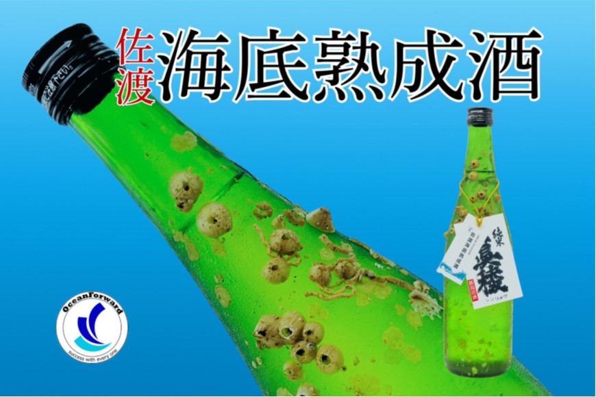 酒 日本酒 純米吟醸酒　佐渡 海底熟成酒 「真稜」720ml×1本