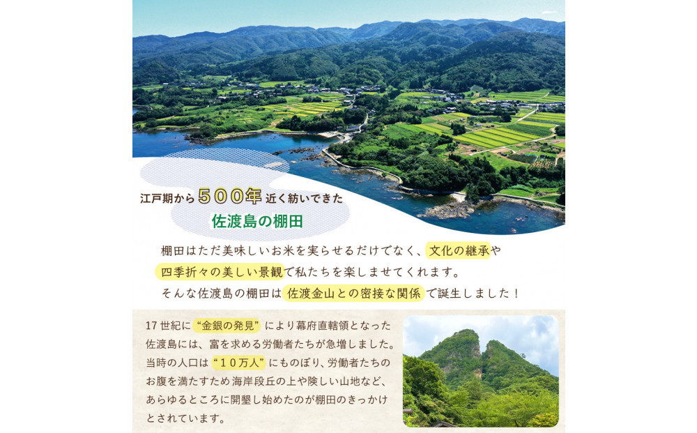 菴先ク。蟲カ逕」繧ウ繧キ繝偵き繝ェ 縺企#閠譽夂伐邀ウ 逋ス邀ウ2Kg縲蝉サ、蜥7蟷エ逕」縲