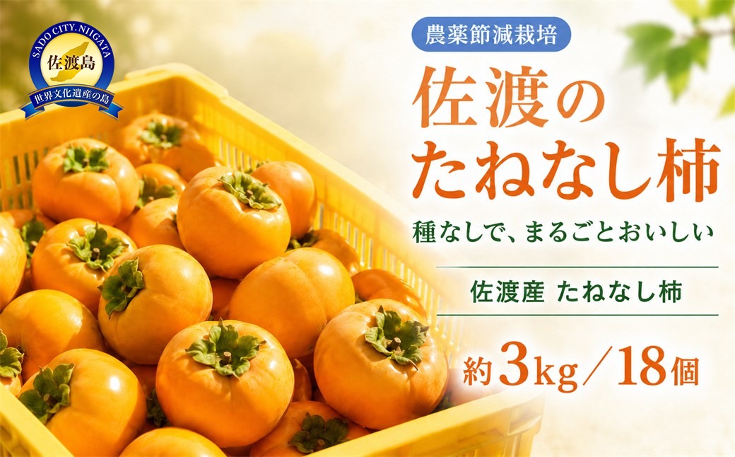 たねなし柿（島のかき）農薬節減栽培　3キロ
