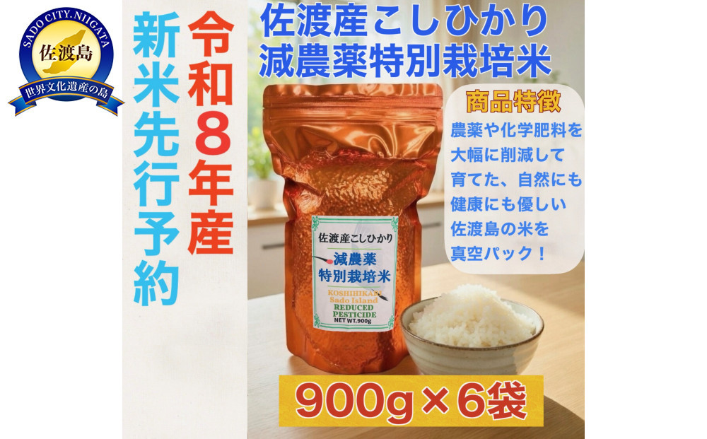【令和8年産新米・先行予約】佐渡島産 減農薬特別栽培米こしひかり 真空パック 900g×6袋セット