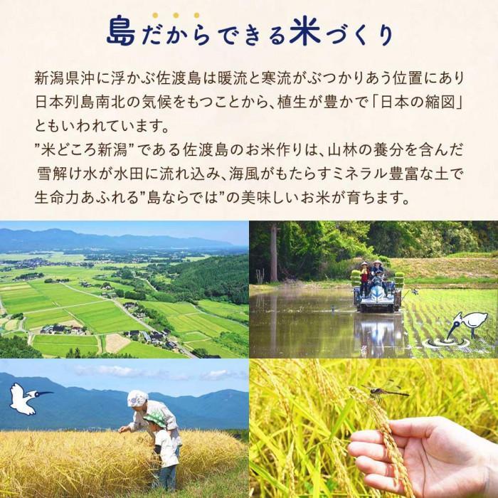 【新米】佐渡島産コシヒカリ 白米5Kg×1袋 特別栽培米 令和6年産 ”ベストファーマー認証受賞歴”