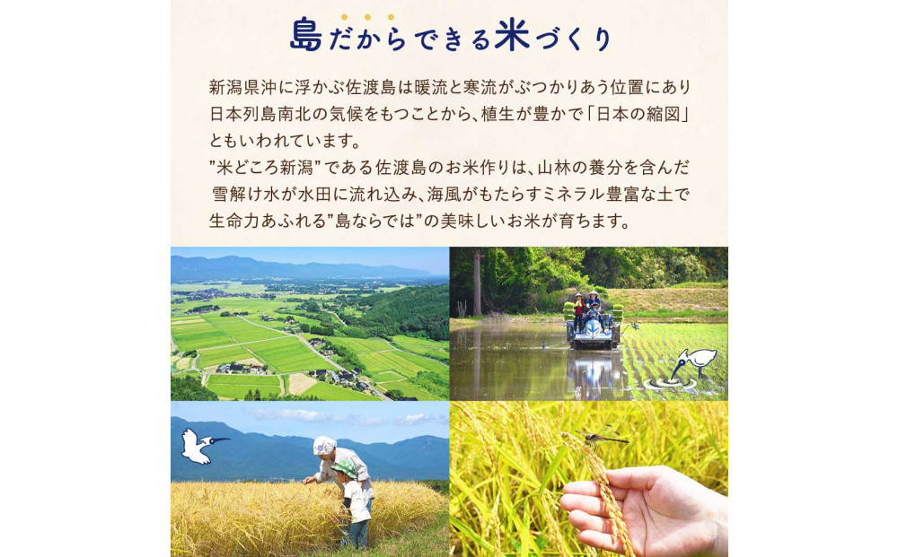 佐渡島産コシヒカリ 白米4kg（2kg×2袋） 農薬・化学肥料5割減【食の宝島佐渡】