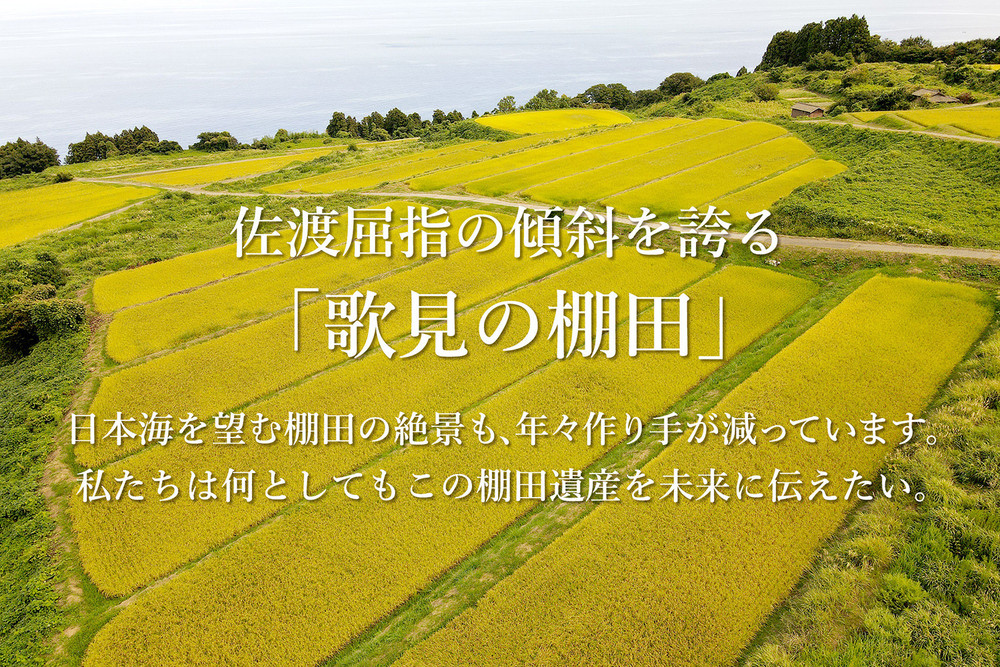 米 コシヒカリ 佐渡産 ( 5kg ) 棚田米 佐渡市歌見地区【令和7年米】