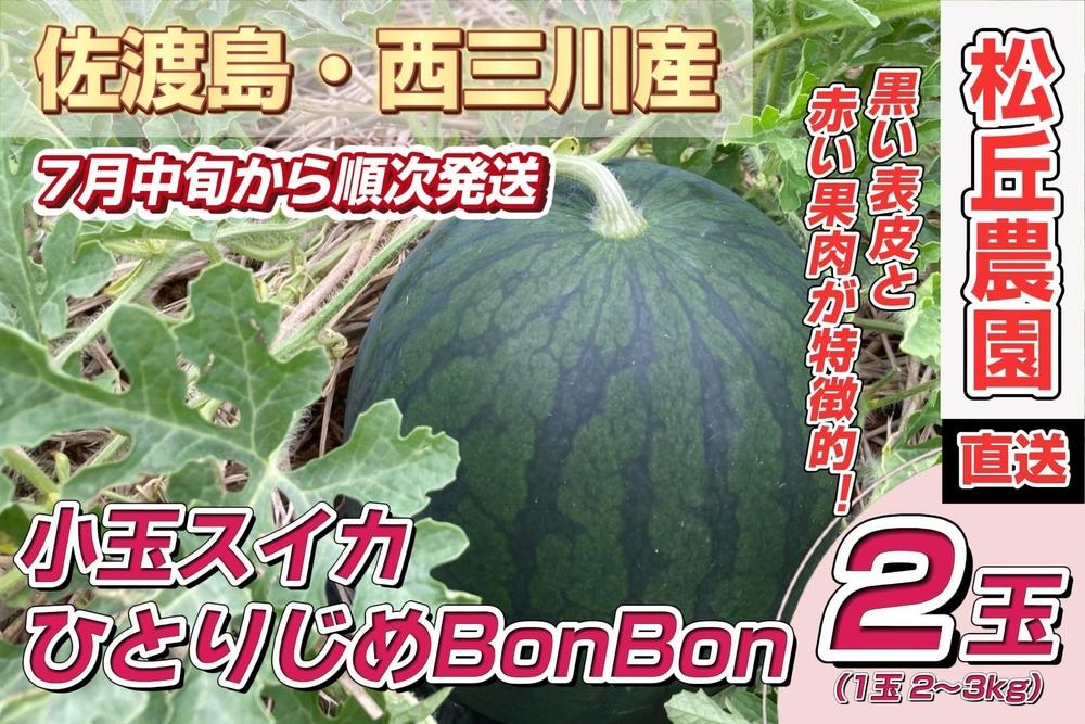 【先行予約】佐渡西三川・松丘農園の名産品小玉スイカ「ひとりじめBonBon]２個（1玉2～3kg）