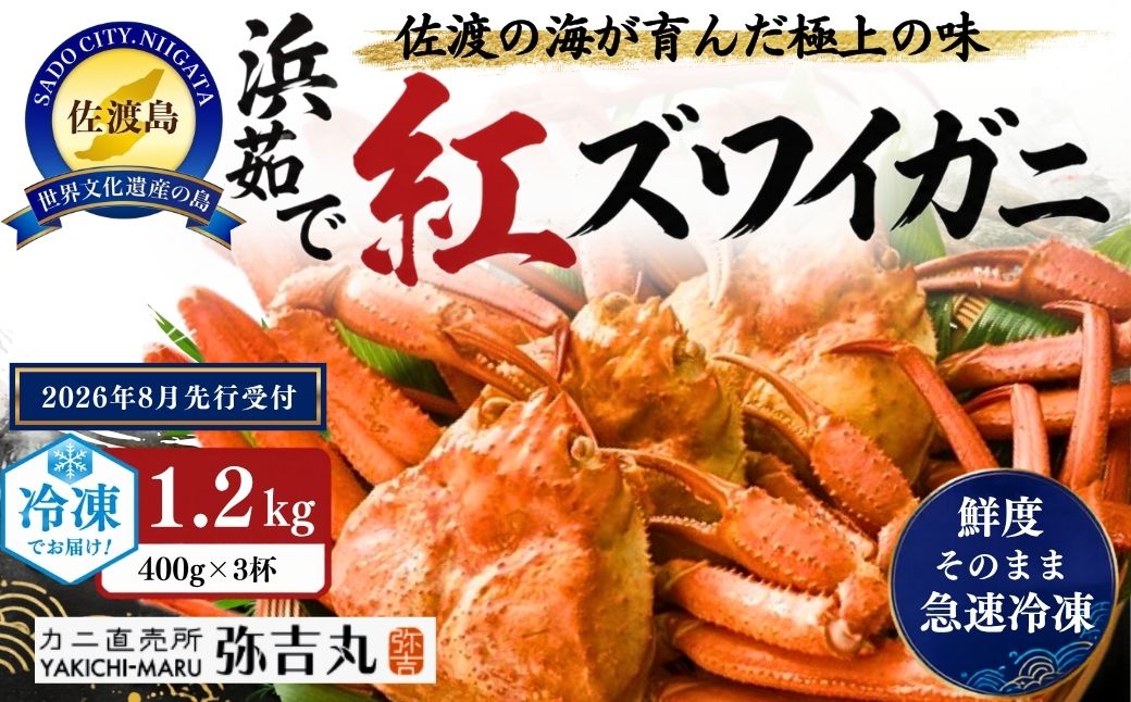 『冷凍』佐渡島直送！浜茹で紅ズワイガニ（1杯400ｇ/3杯）ふるさと納税 ※2026年8月以降より順次発送