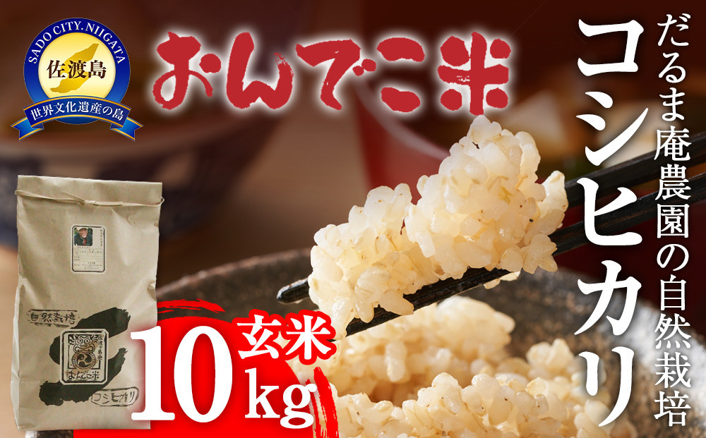 【令和7年産】だるま庵農園の自然栽培コシヒカリ玄米10キロ【2025年10月中旬より順次発送】